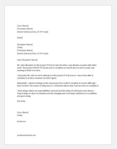 Apology Letter for Late Submission of Project | Word & Excel Templates